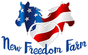 NFF_Logo_trans_300px.png