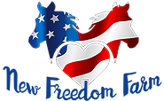 NFF_Logo_trans_300px.png